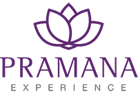 Hotel Partner Logo